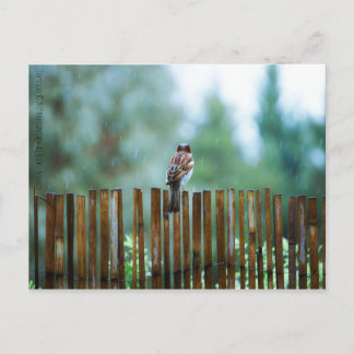 Warten_light Postkarte