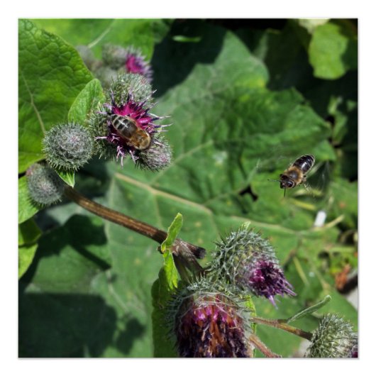 warten poster (Vorderseite)