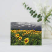 Warten,Postkarten Postkarte (Stehend Vorderseite)