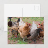 Warten Sie mal. Postkarte (Vorne/Hinten)