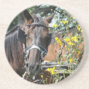 Wartend Ameise Getränkeuntersetzer