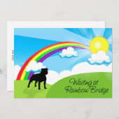 Wartete an der Regenbogen-Brücke Pitbulls Einladung (Vorne/Hinten)