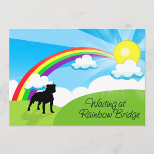 Wartete an der Regenbogen-Brücke Pitbulls Einladung