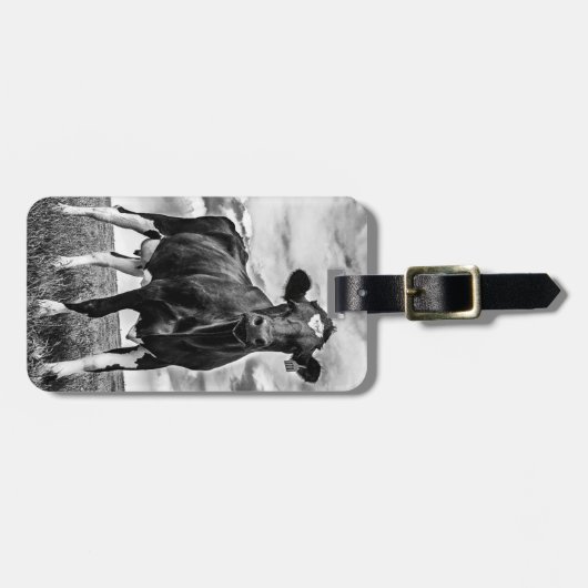 Wartete BW-Ernte Gepäckanhänger (Vorderseite horizontal)