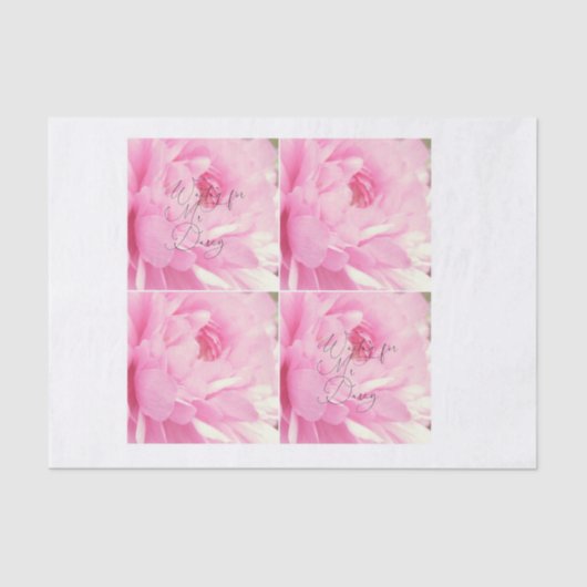 Wartete decoupage Rose Herrn Darcy Watercolor Seidenpapier (Vorderseite)