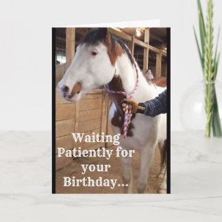 "Wartete geduldig für Ihren Geburtstag…" Karte