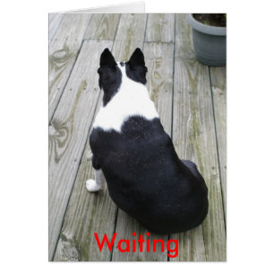 Wartete gerade…, wartete