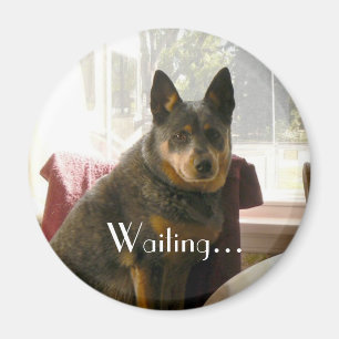 Wartete… Magnet