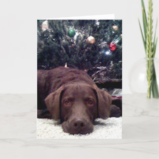 Wartete Sankt Feiertagskarte