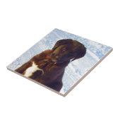 Wartete Schwarz-weißen Labrador-Welpen der Fliese (Seite)