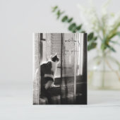 Wartete Sie - Postkarte (Stehend Vorderseite)