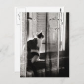 Wartete Sie - Postkarte (Vorne/Hinten)