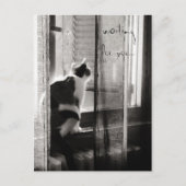 Wartete Sie - Postkarte (Vorderseite)