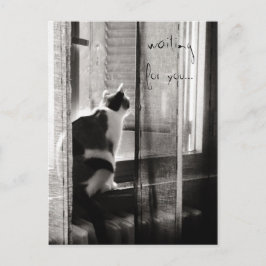 Wartete Sie - Postkarte