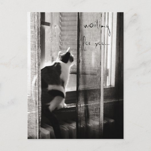 Wartete Sie - Postkarte (Vorderseite)