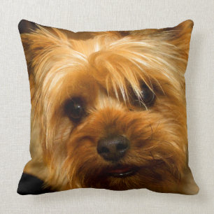 Wartezeit für Mamma-Liebe Yorkie Terrierhund Kissen