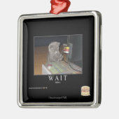 Wartezeit Silbernes Ornament (Links)