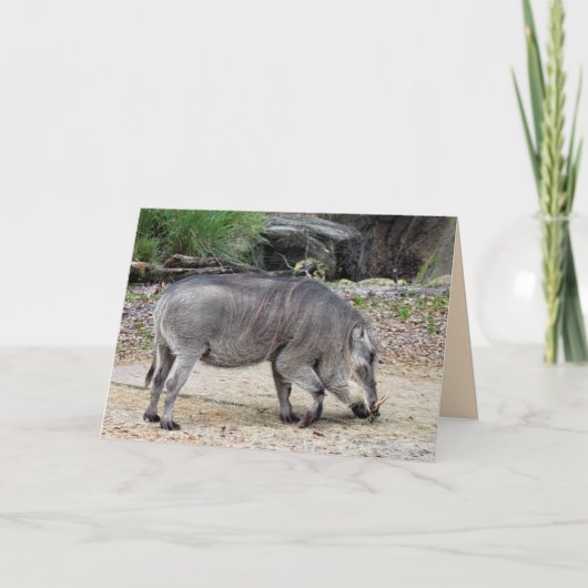 Warthog Grußkarte Karte (Vorderseite)