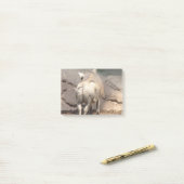 Warthog hinten post-it klebezettel (Auf Schreibtisch)