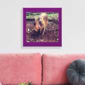 Warthog in Kenia Leinwanddruck (Insitu (Wohnzimmer))