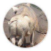 Warthog Keramikknauf (Vorderseite)