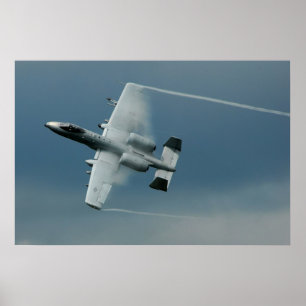 Warthog Poster