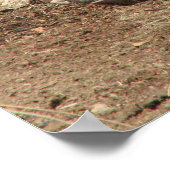 Warthog Poster (Ecke)