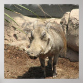 Warthog Poster (Vorne)