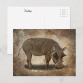 WARTHOG POSTKARTE (Vorne/Hinten)