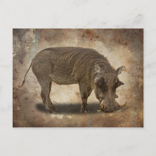 WARTHOG POSTKARTE