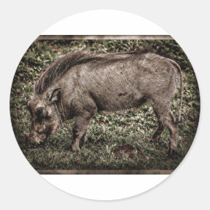 Warthog. Runder Aufkleber