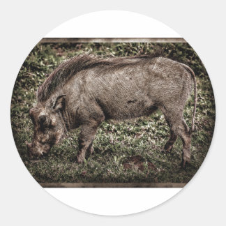 Warthog. Runder Aufkleber