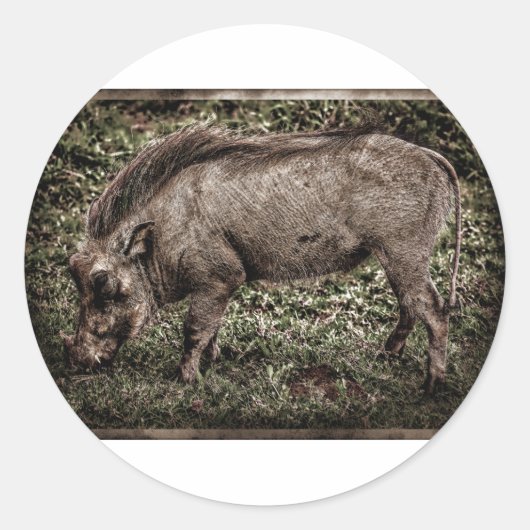 Warthog. Runder Aufkleber (Vorderseite)