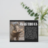 WARTHOGS mit Beschreibung Postkarte (Stehend Vorderseite)
