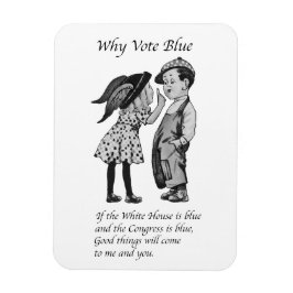 Warum 2028 völlig blau abstimmen magnet