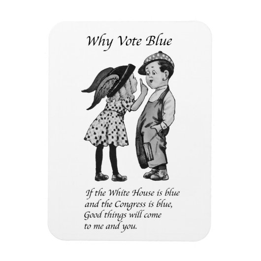 Warum 2028 völlig blau abstimmen magnet (Vertikal)