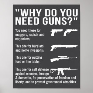 Warum brauchen Sie Waffen  Poster