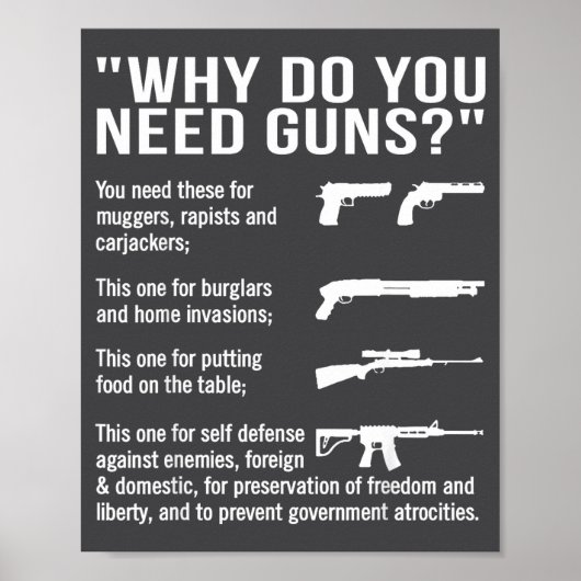 Warum brauchen Sie Waffen Poster (Vorne)