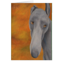 Warum das lange Gesicht? (a393)