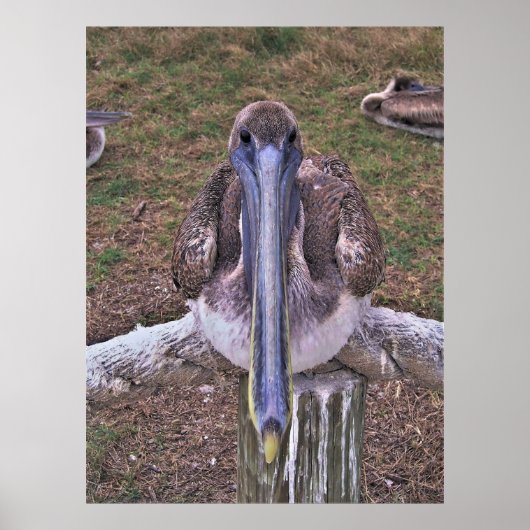 Warum das lange Gesicht? Poster (Vorne)