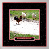 Warum der Rooster die Straße überquerte Poster (Vorne)