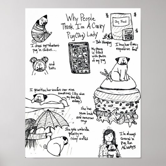 Warum die Leute denken, ich bin eine verrückte Mop Poster (Vorne)