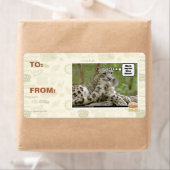 Warum finden Hunde das so schwierig? (Insitu)