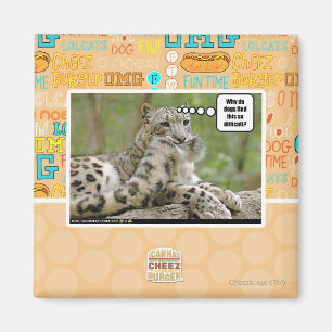 Warum finden Hunde das so schwierig? Magnet