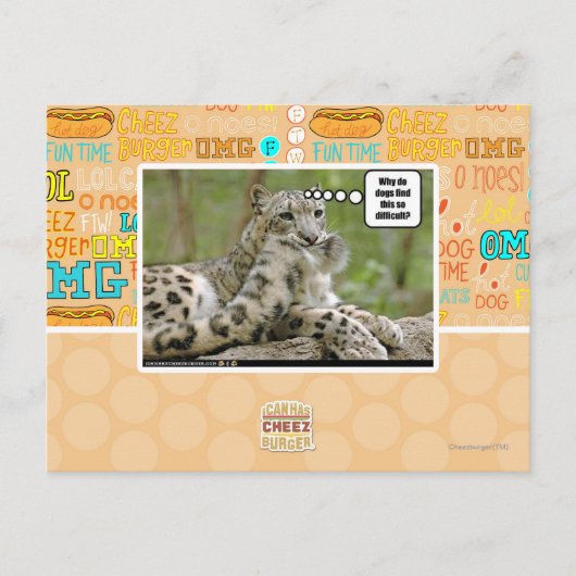 Warum finden Hunde das so schwierig? Postkarte (Vorderseite)