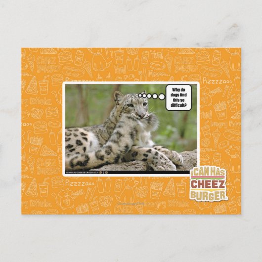 Warum finden Hunde das so schwierig? Postkarte (Vorderseite)