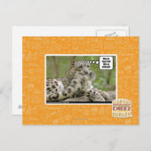 Warum finden Hunde das so schwierig? Postkarte (Vorne/Hinten)