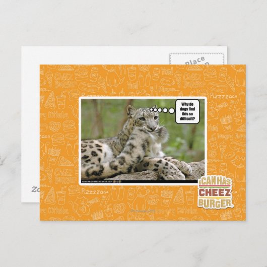 Warum finden Hunde das so schwierig? Postkarte (Vorne/Hinten)