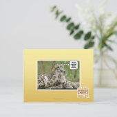 Warum finden Hunde das so schwierig? Postkarte (Stehend Vorderseite)