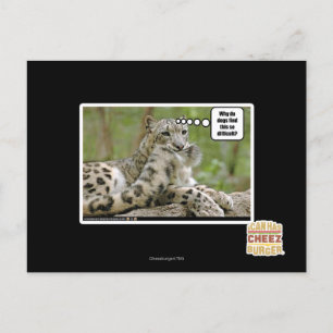 Warum finden Hunde das so schwierig? Postkarte